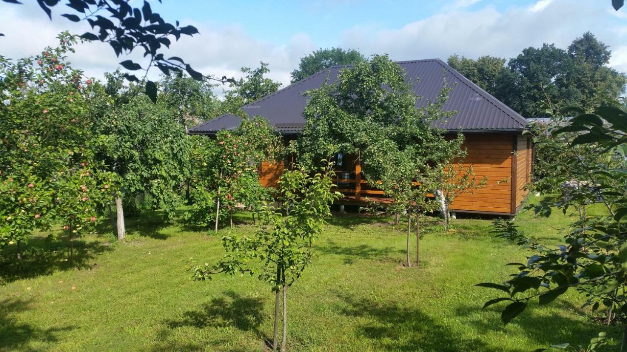 Villa Vasarnamis Zarasuose Zarasai Exterior foto